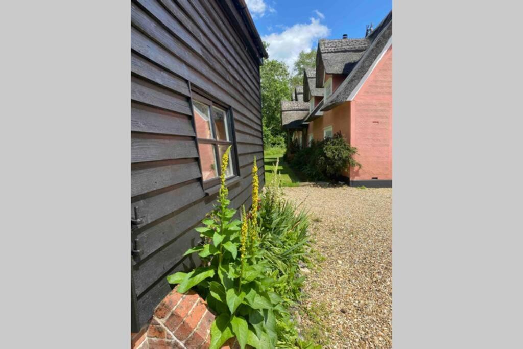 Gorgeous Comfortable Barn With Huge Private Orchard In Quiet Suffolk Location Depden Zewnętrze zdjęcie